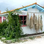 L'ostrea Andernos-les-Bains
