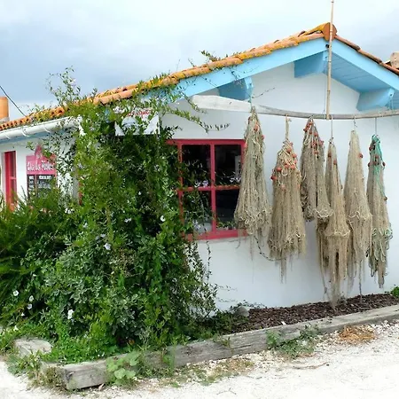 L'ostrea Andernos-les-Bains