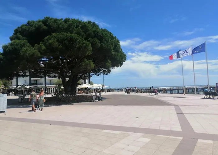 L'ostrea * Andernos-les-Bains